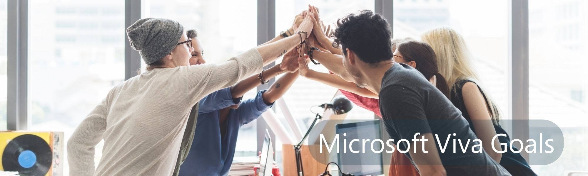 Microsoft Viva Goals  CompanyNet